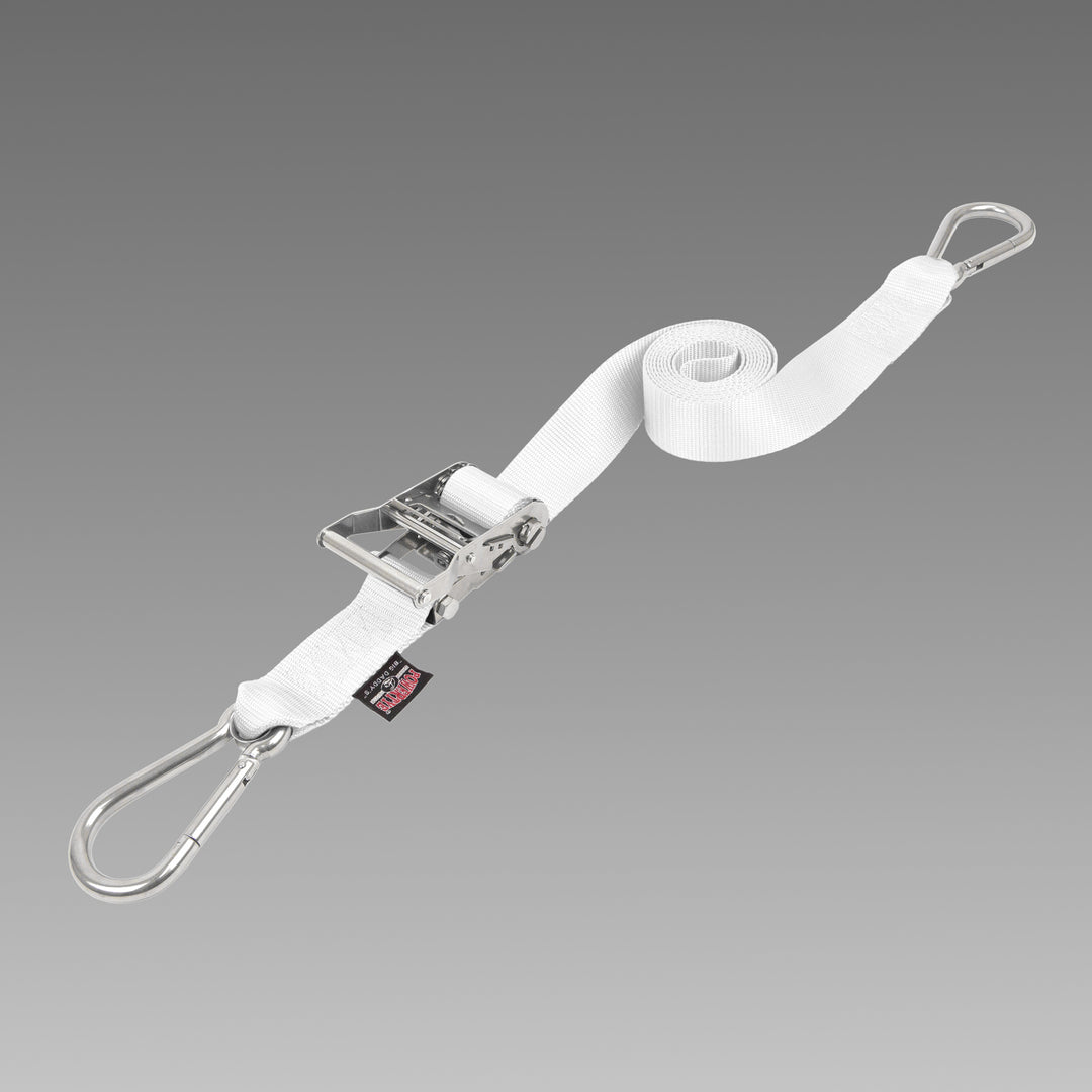 PowerTye 2in STAINLESS STEEL RATCHET STRAPS with STAINLESS CARABINER HOOKS#color_white